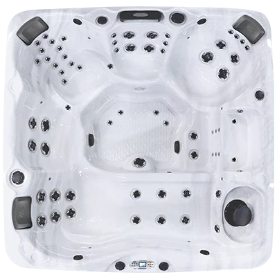 Avalon EC-867L hot tubs for sale in Orange